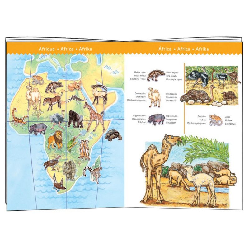 Puzle observació amb llibre animals Djeco