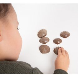 Petxines tàctils material ecològic de Edx J3243 Edx Education  6