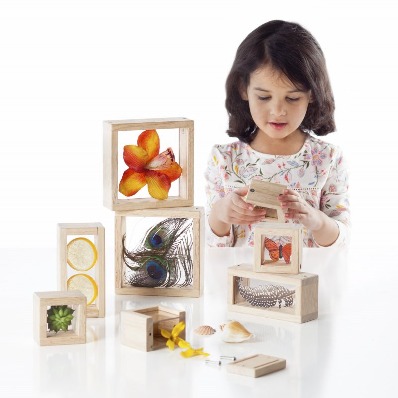 Bloques para guardar y observar materiales naturales