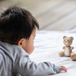 Pequeño osito de madera little bear de Plan Toys J3586 Plan Toys 2