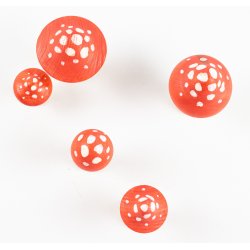 Bolets amanites vermelles de fusta J3841 Miquelka 4
