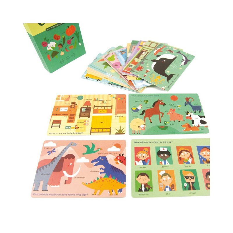 Cartes amb paraules cognitives en anglès J4317 Mideer