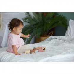 Set de animales granja de PlanToys J4380 Plan Toys 2