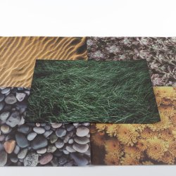 Folis DinA4 de textures AP2552 Deukaliptus 3
