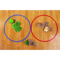 Pack de 3 cercles per crear conjuntos J4829 Edx Education  4