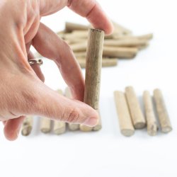 Troncs petits de fusta 2186/BS Naturals Education by Anthony Peters 2
