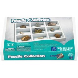 Coleccion de fosiles J4987 Learning Resources 3