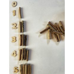 Petits troncs 2186/BS Naturals Education by Anthony Peters 5