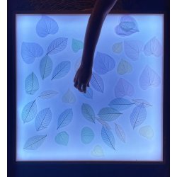 Hojas de Yulan 2211/YL Naturals Education by Anthony Peters 5