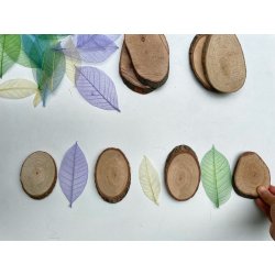 Hojas de Yulan 2211/YL Naturals Education by Anthony Peters 4