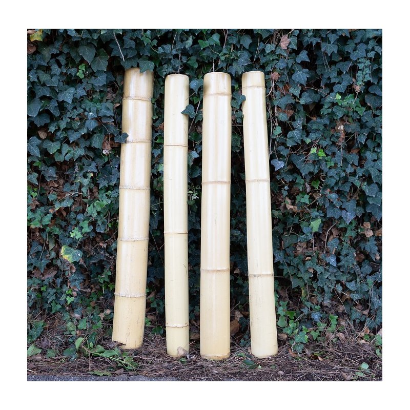 4 canales bambu de 1 m 4 canales bambu de 1 m J5227 Deukaliptus