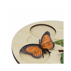 Papallona Metamorfosis J5429 Andreu Toys 2
