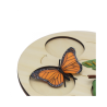 Mariposa Metamorfosis