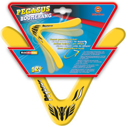 Boomerang Pegasus para jugar al aire libre | Jugaia