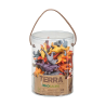 Pot de 60 Dinosaures Terra Battat – ideal per a joc imaginatiu, diorames i bosses de festa