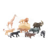 Pack de animales salvajes