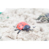 Insectos para hacer mini mundos