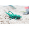 Pack de insectos