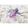 Pack de insectos