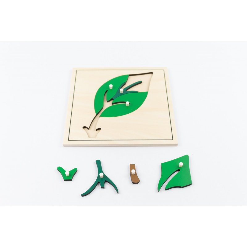 Material montessori per treballar l'àrea de botànica