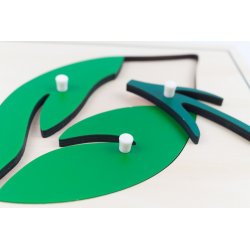 Trencaclosques montessori para apendre les partes d'una fulla J2552 Montessori 3
