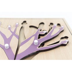 Material montessori de l'àrea de botànica J2548 Montessori 2