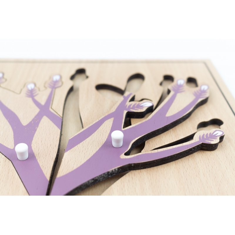 Material montessori de l'àrea de botànica