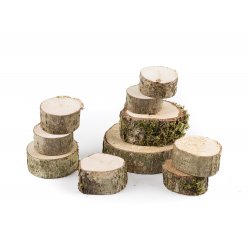10 Discs de bedoll petits J2869 Opitec 4